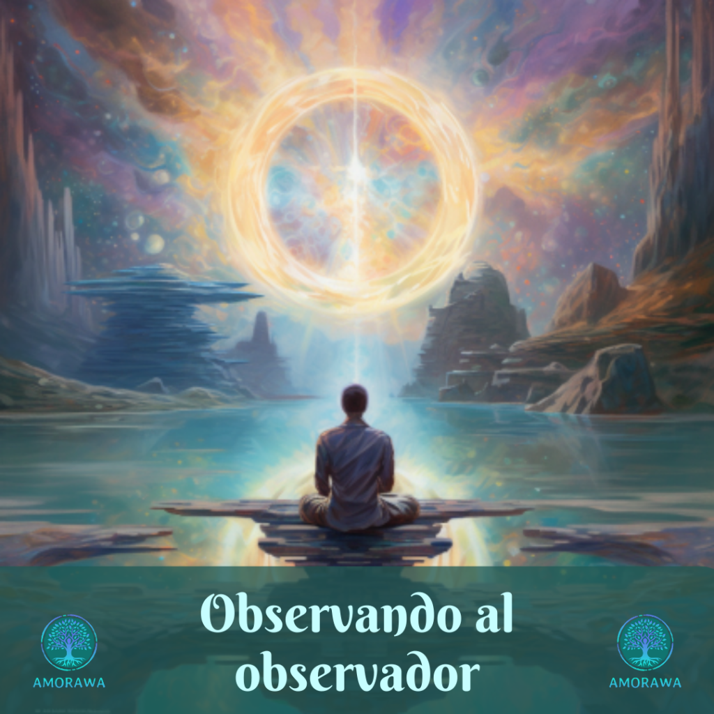 Observando al observador