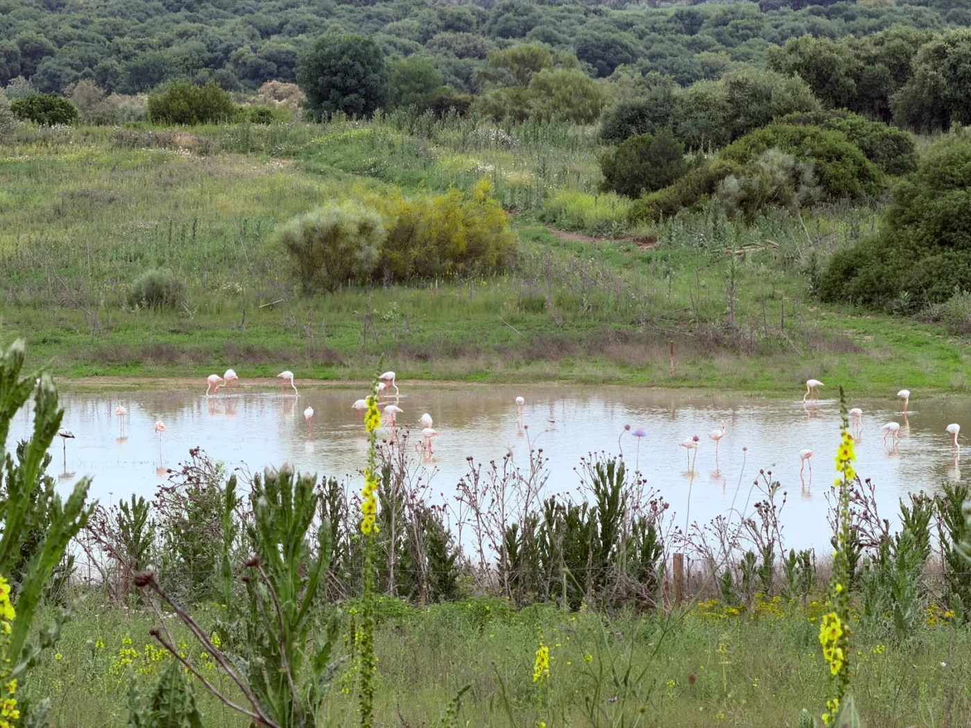 Paisaje natural junto al espacio del retiro en Córdoba