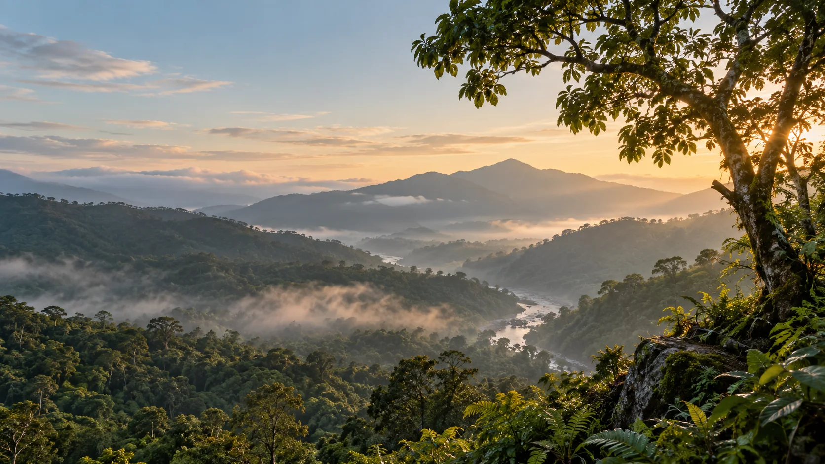 Paisaje forestal y río al amanecer, imagen conceptual