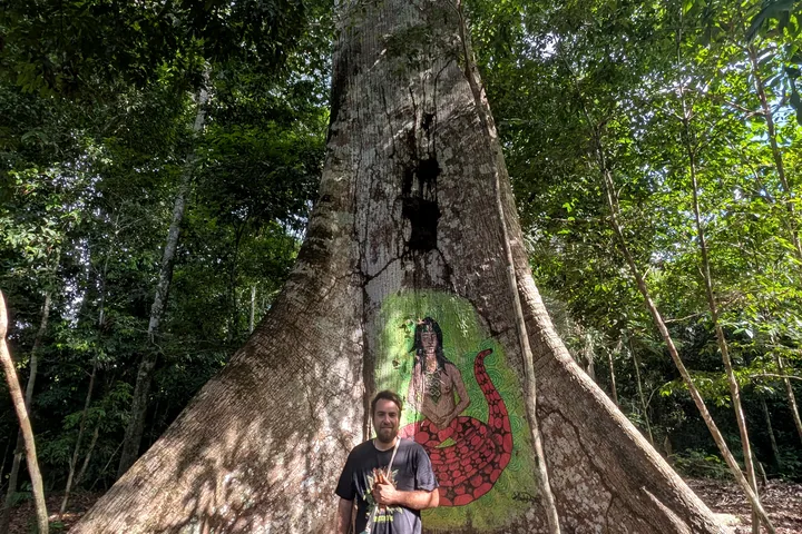 Árbol de gran porte en el bosque