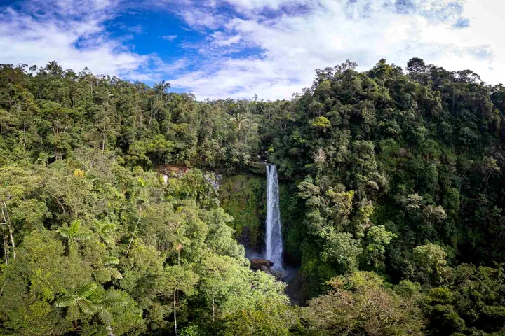 Cascada rodeada de bosque tropical