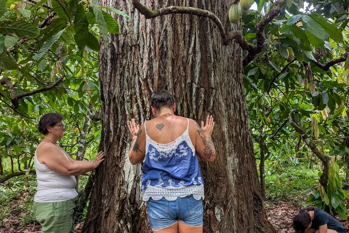 Participantes junto a un gran árbol