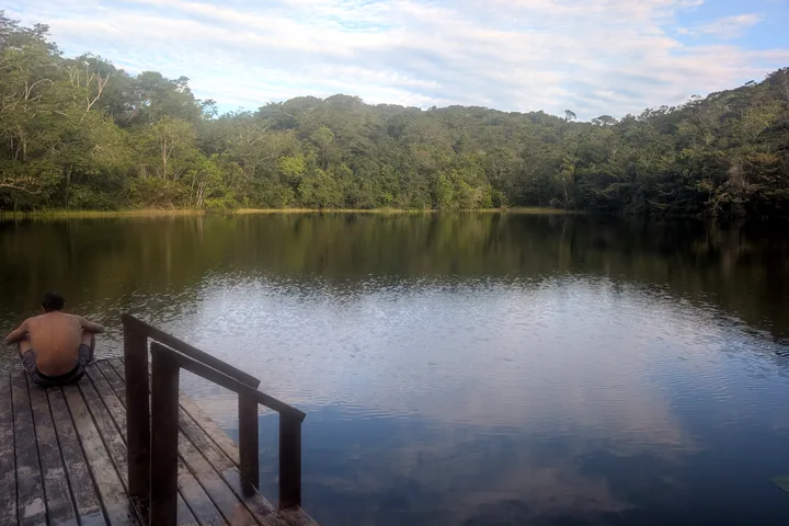 Laguna rodeada de vegetación