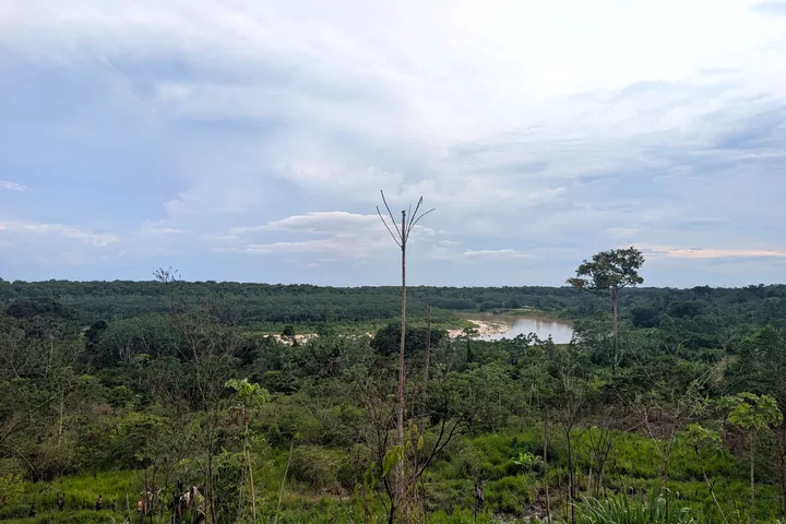 Río entre la selva amazónica