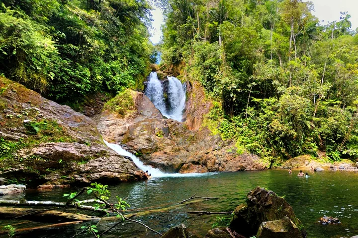 Salto de agua en un entorno de bosque
