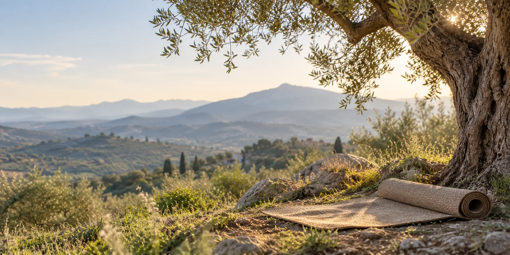 Esterilla de yoga bajo un olivo con montañas del interior de Málaga